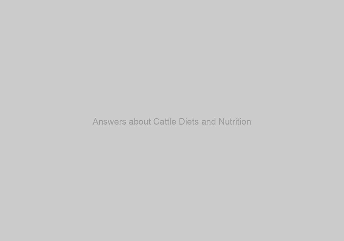 Answers about Cattle Diets and Nutrition